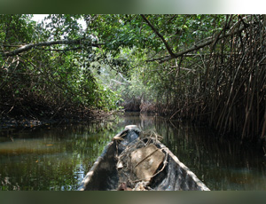 LE PARC NATUREL DE GAOULOU