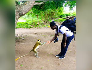 LES SINGES SACRES DE SOKO