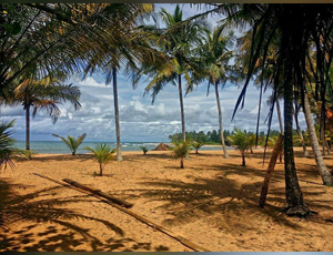 LA BAIE DE TAKI